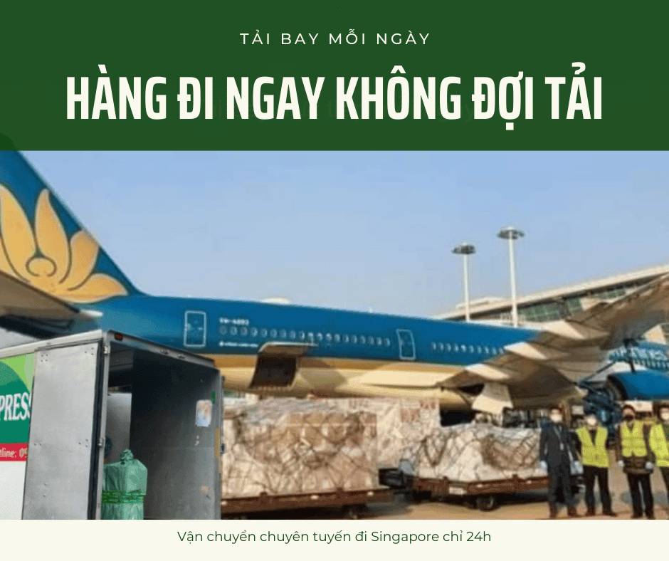 Gửi Hàng Đi Singapore 14 Gửi hàng chuyên tuyến đi Sin siêu tốc