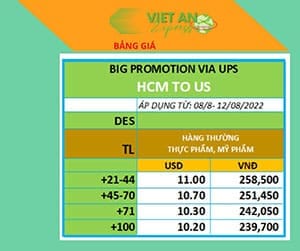 Dịch Vụ Gửi Hàng Đi Mỹ Uy Tín, Giá Rẻ 4 Khuyến mãi cước gửi hàng từ HCM đi Mỹ của Viet An Express