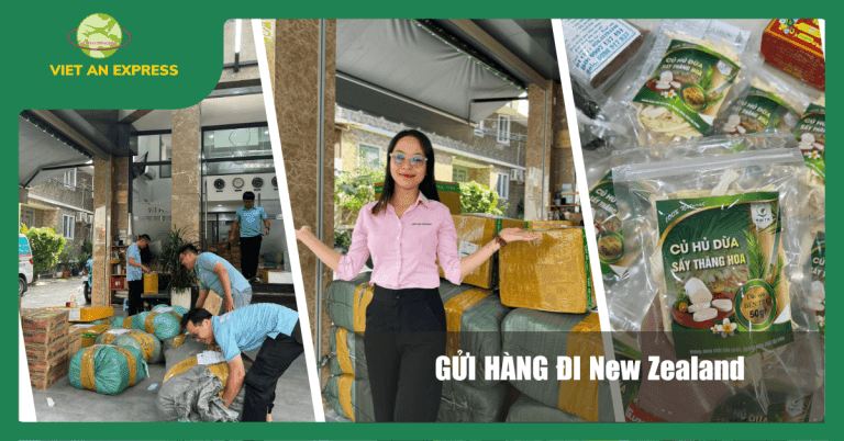 Dịch vụ gửi hàng đi New Zealand giá rẻ, uy tín – Viet An Express