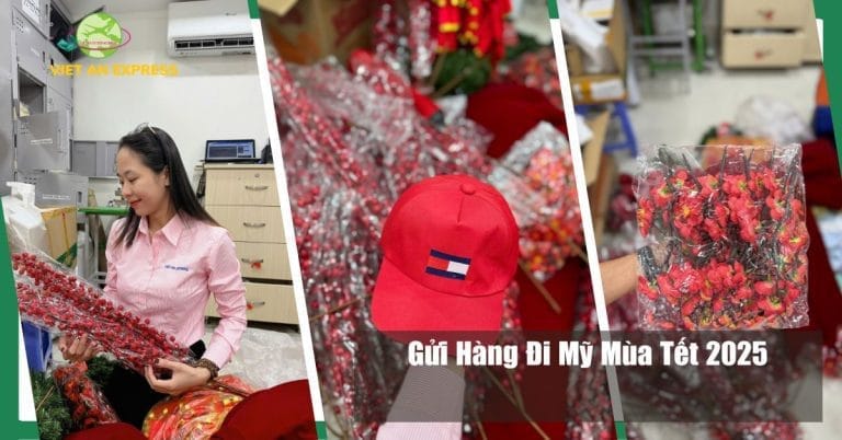 Gửi hàng đi Mỹ mùa tết