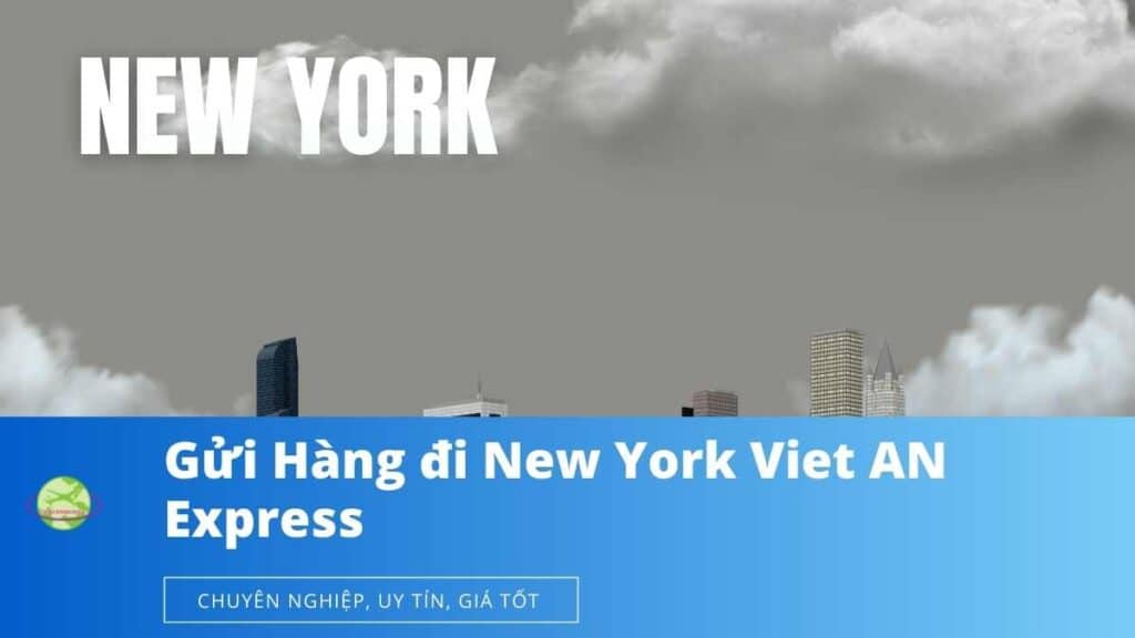 Gửi hàng đi New York Nhanh, Rẻ Viet An Express