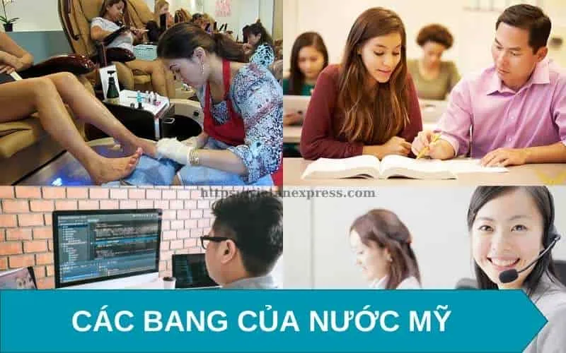 Tìm Hiểu Các Bang Của Nước Mỹ, Văn Hóa, Kinh Tế Và Cuộc Sống Người Việt Tại Mỹ Công việc phù hợp cho người Việt tại Mỹ