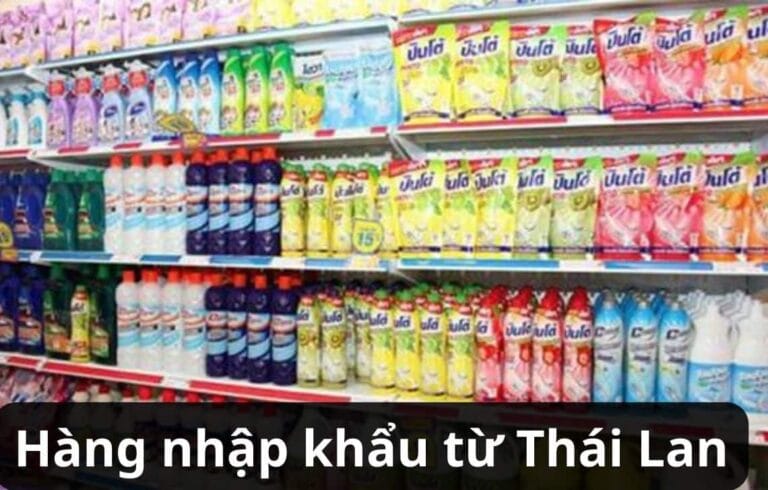 Nhập Khẩu Hàng Hoá Từ Thái Lan: Chọn Giữa Nhập Chính Ngạch và Tiểu Ngạch