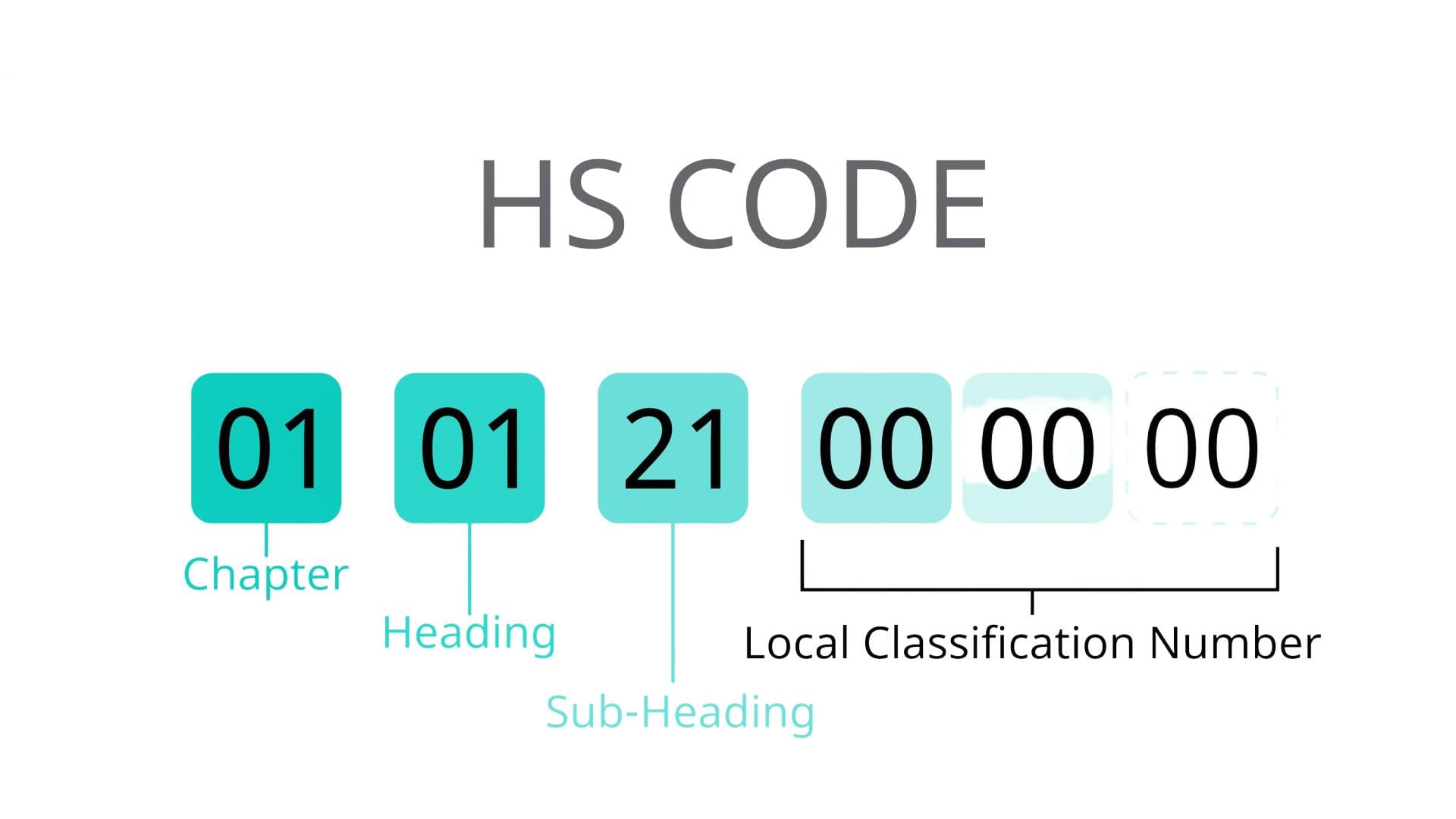 HS Code trong vận chuển hàng hóa quốc tế