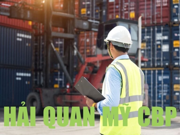 Hướng Dẫn Toàn Diện Về Hải Quan Mỹ Cho Du Học, Du Lịch và Kinh Doanh