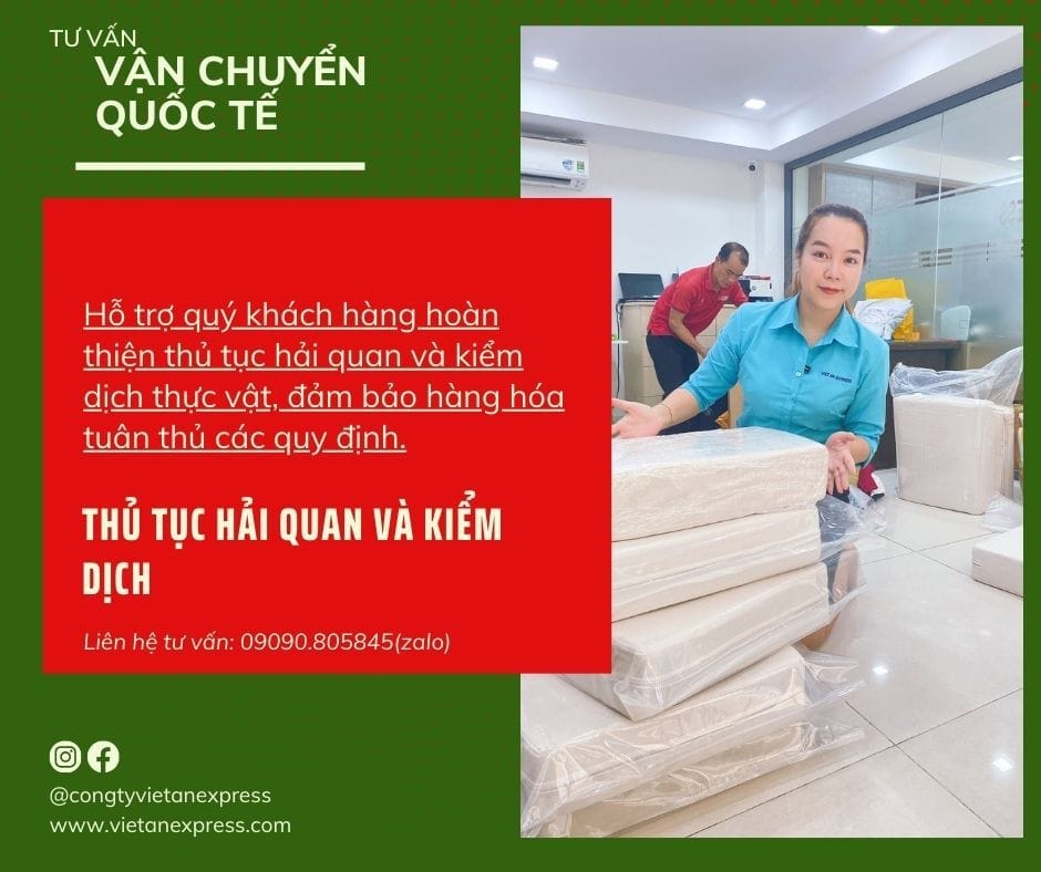 Tư vấn thủ tục hải quan và kiểm dịch thực vật