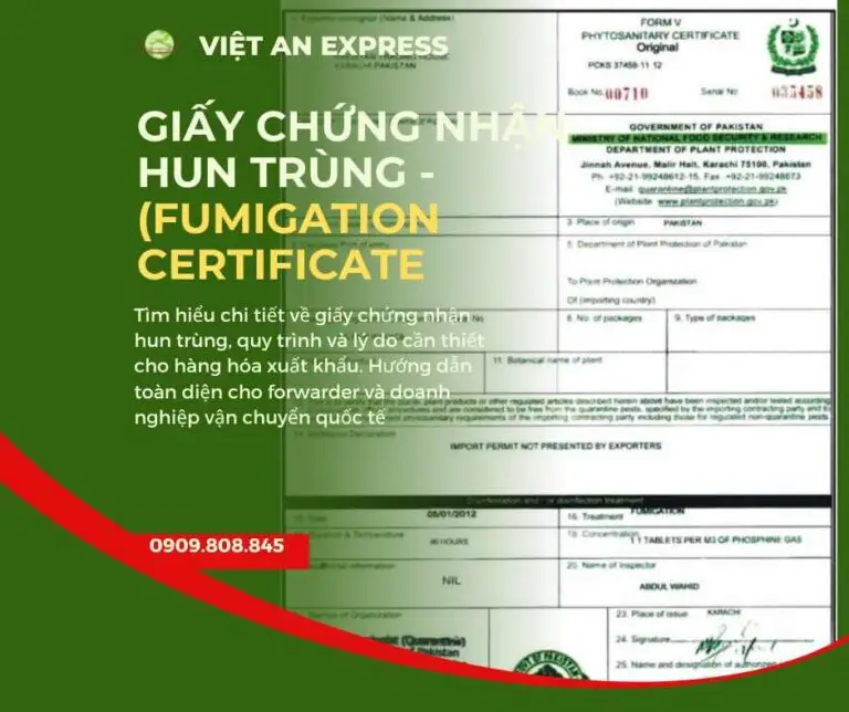 Giấy chứng nhận hun trùng: Tìm hiểu chi tiết từ A đến Z