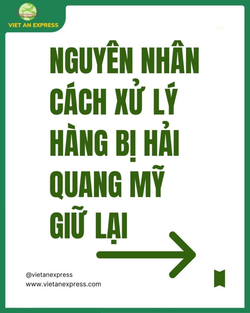 Hướng Dẫn Xử Lý Hàng Hóa Bị Hải Quan Mỹ Giữ Lại – Việt An Express