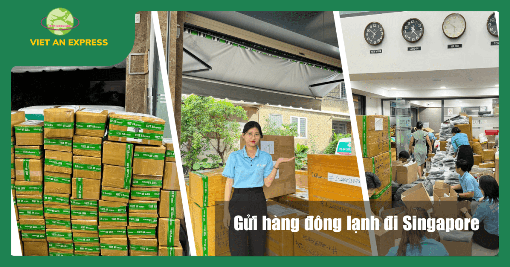 Gửi hàng đông lạnh đi singapore