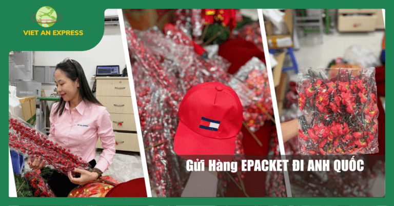 Dịch vụ Gửi hàng ePacket đi Anh Quốc (UK) – Việt An Express