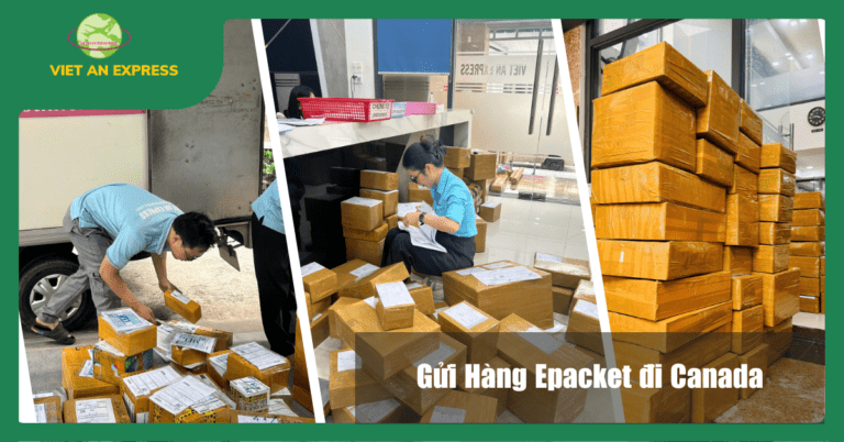 Gửi hàng ePacket đi Canada: Giá rẻ, Tracking minh bạch – Giải pháp cho Shop TMĐT